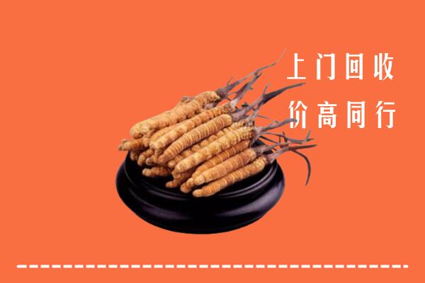 收购行情：成都金堂县回收散虫草