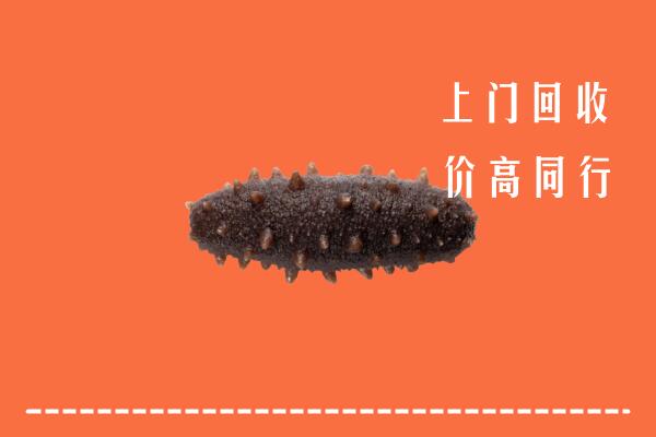 高价求购：成都金堂县回收海参