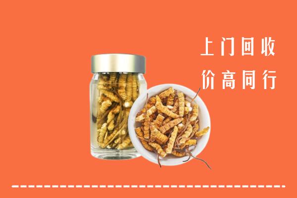 成都金堂县回收冬虫夏草
