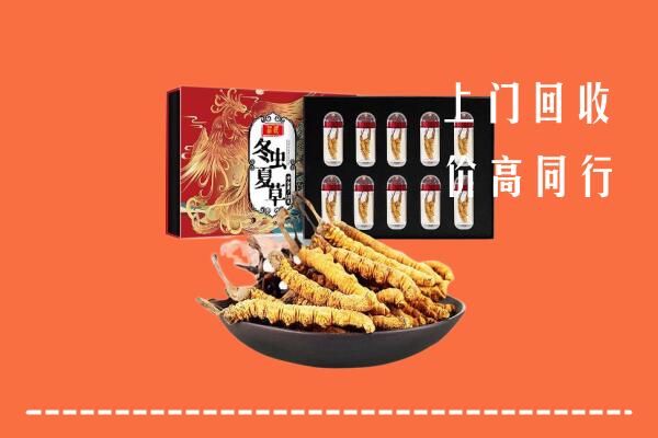 成都金堂县回收虫草